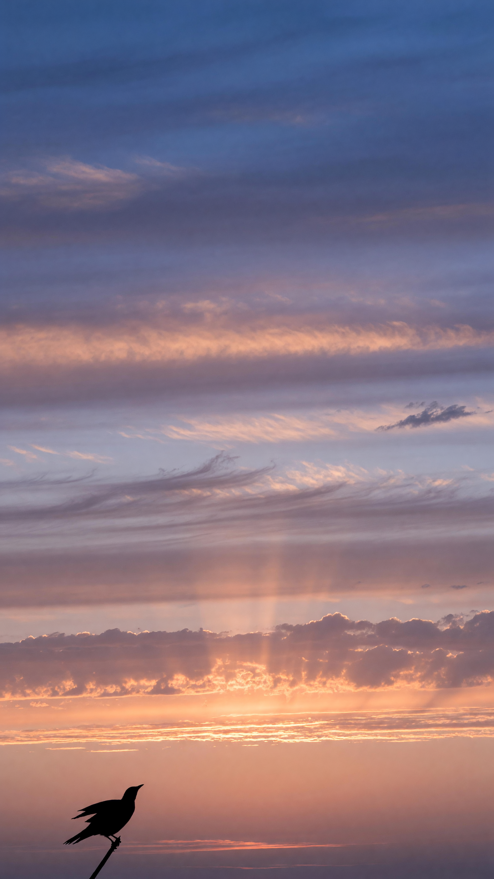 A New Day