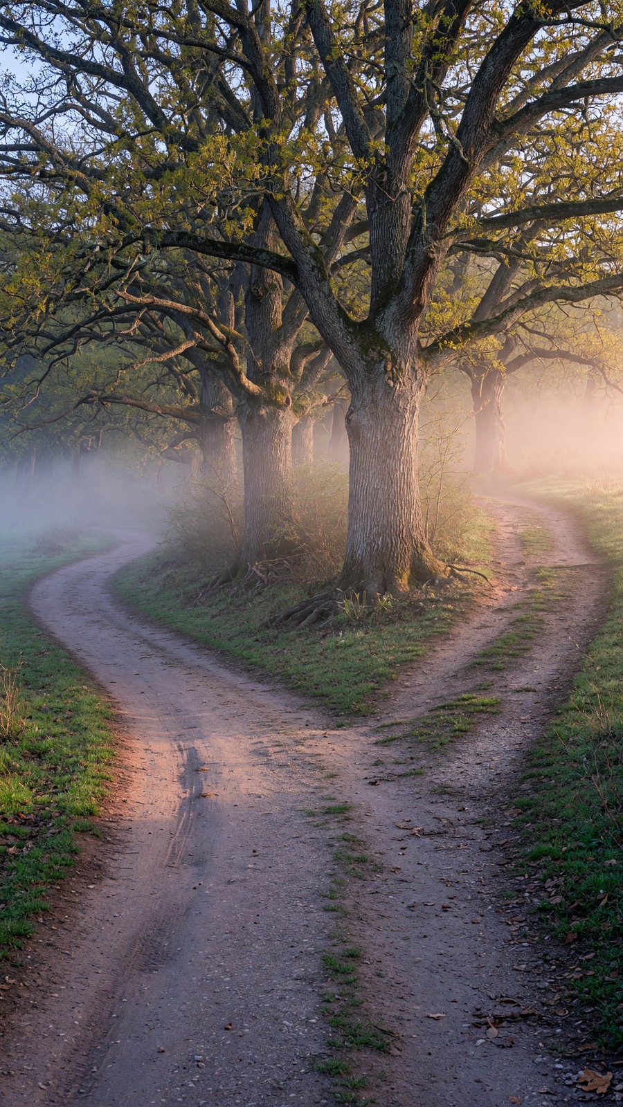 Less Traveled