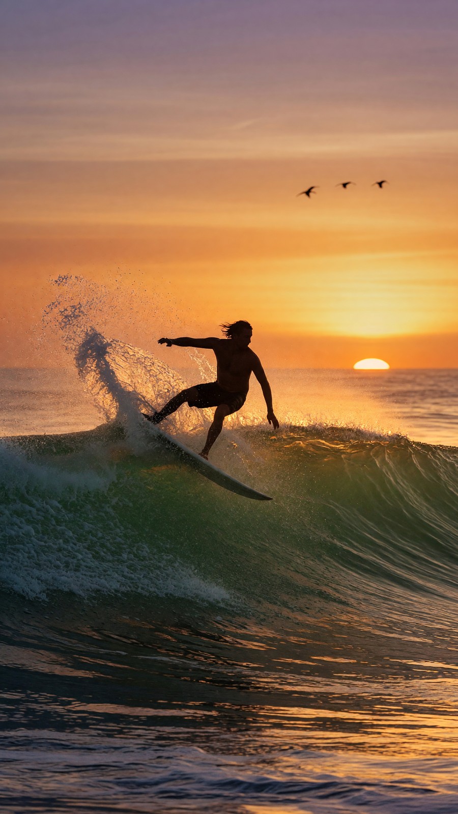 Surf's Up