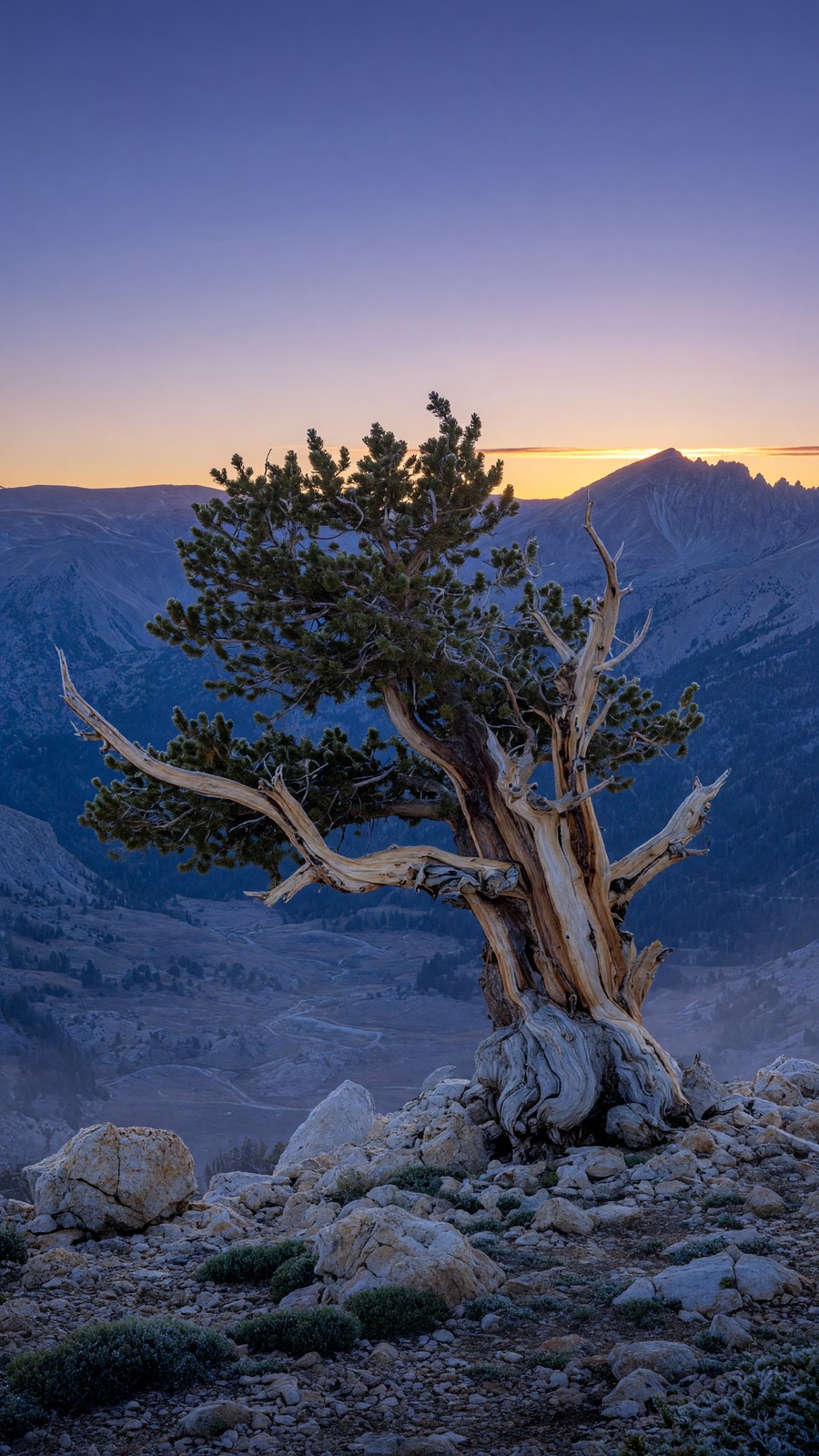 First Light