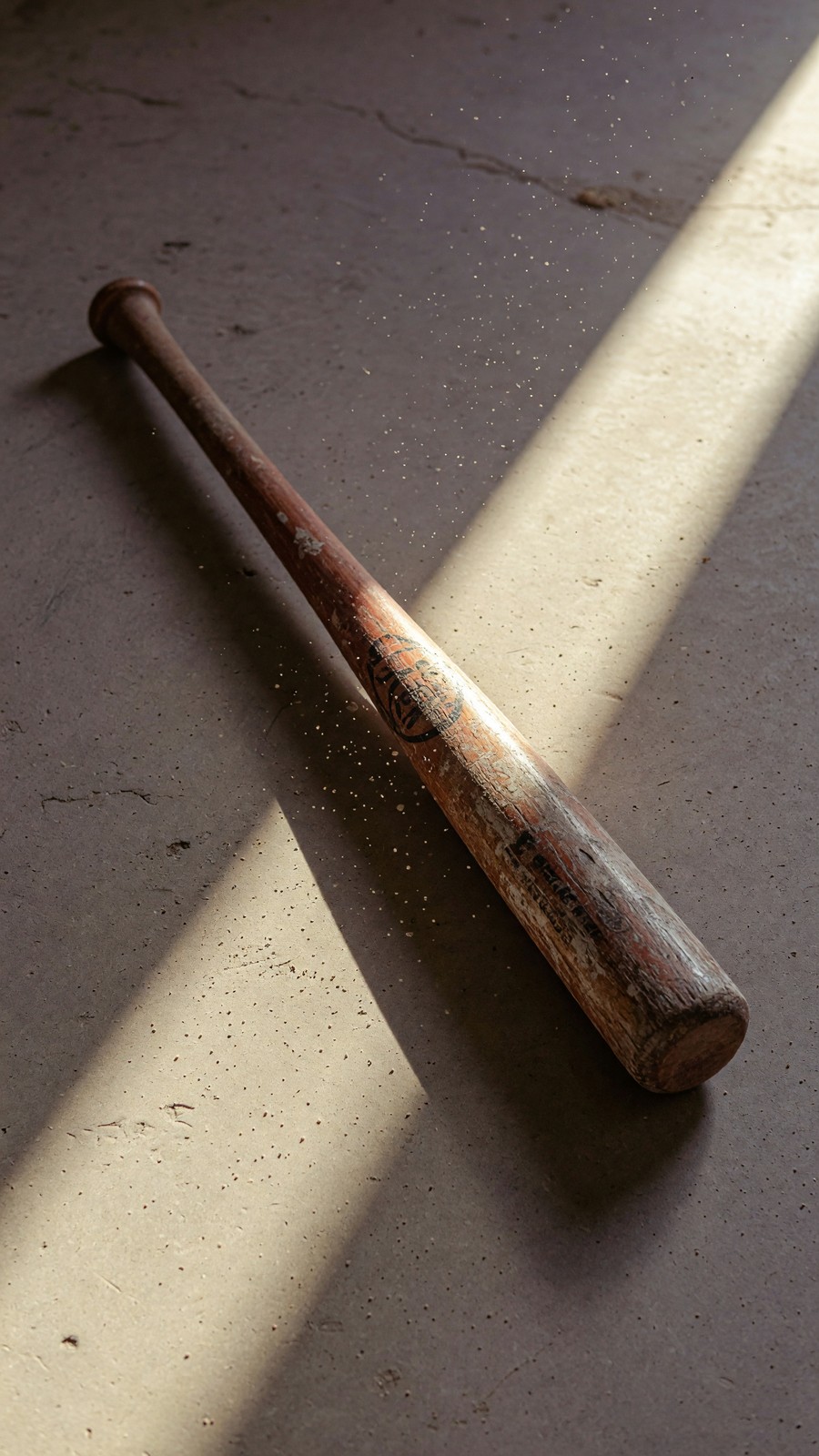 The Bat