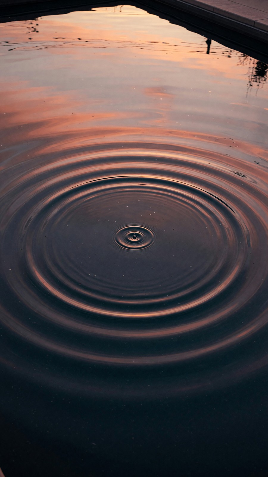 The Ripple