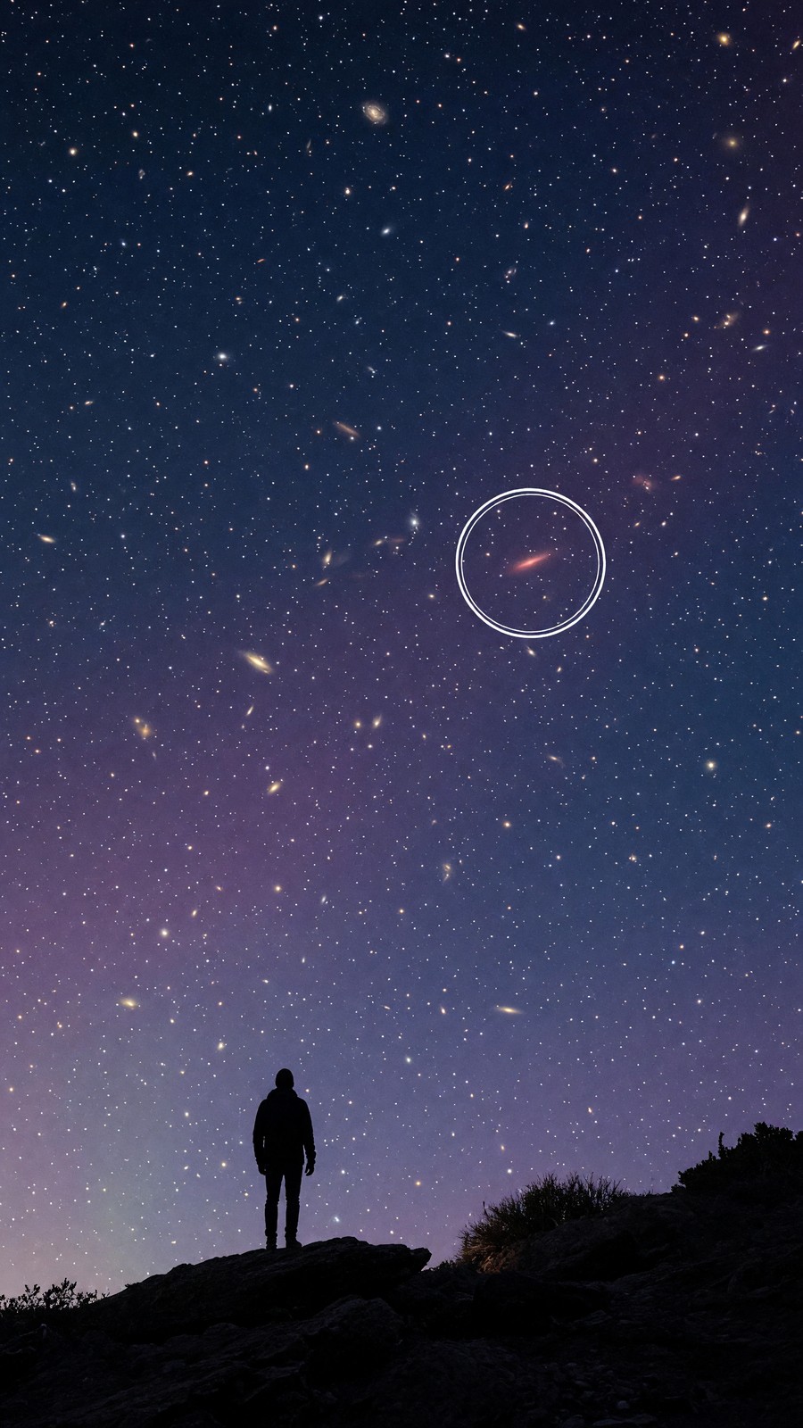 Laniakea